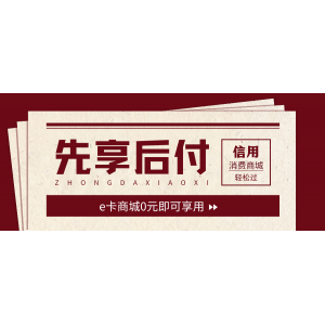 信用消费